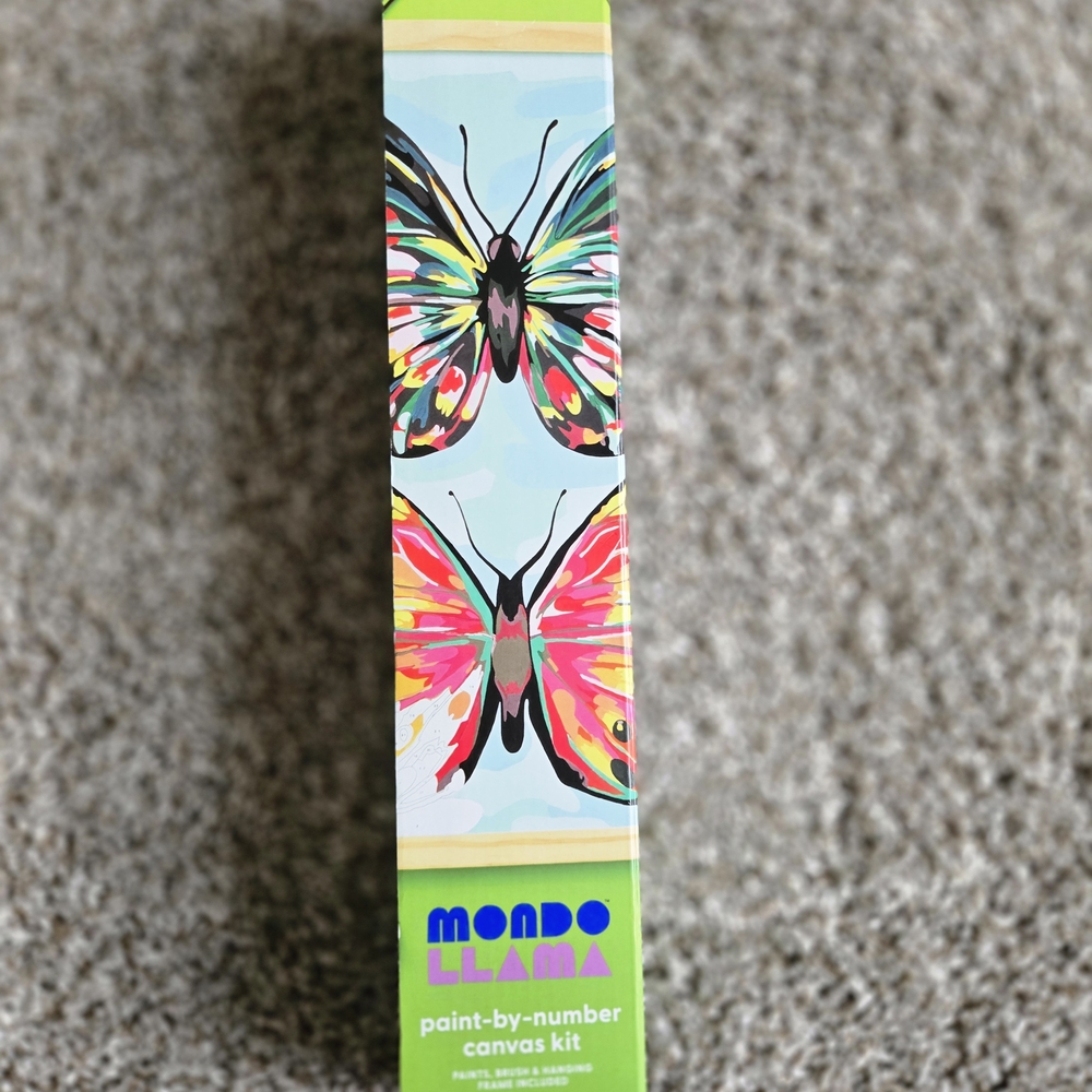 Mondo Llama Paint-by-Number Canvas Kit - Colorful Butterfly Design